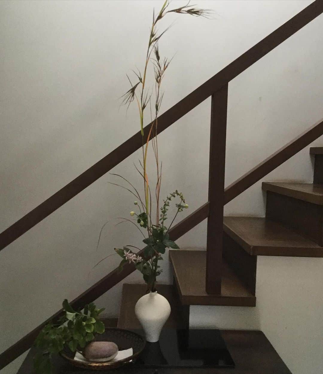 ヒロミチナカノさんのインスタグラム写真 - (ヒロミチナカノInstagram)「久しぶり‼️です..instagram を再開します‼️ずっと使っていたiPad変になりました‼️新しいiPadで再スタートです。 #flowers  #flowerphotography  #flowerinstagram」10月21日 13時00分 - hiromichinakano_official