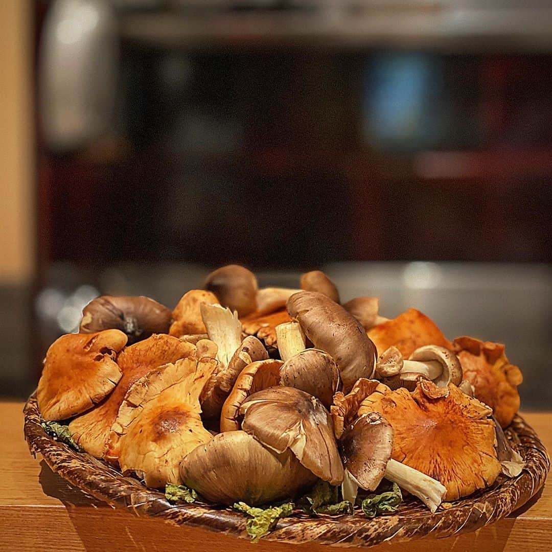 堀江貴文さんのインスタグラム写真 - (堀江貴文Instagram)「#mushroom #キノコ山盛り #美味しくないわけがない #アルテレーゴ #alterego #ごはん  #food #foodlovers #foodie  #delicious #foodoftheday #foodgasm  #yum #yummy #tasty #eat #eating #hungry #foodpics #fresh #tasty #eating #foodpic #instafood https://teriyaki.me/sp/curator/C45/A6598」10月21日 13時27分 - takapon_jp