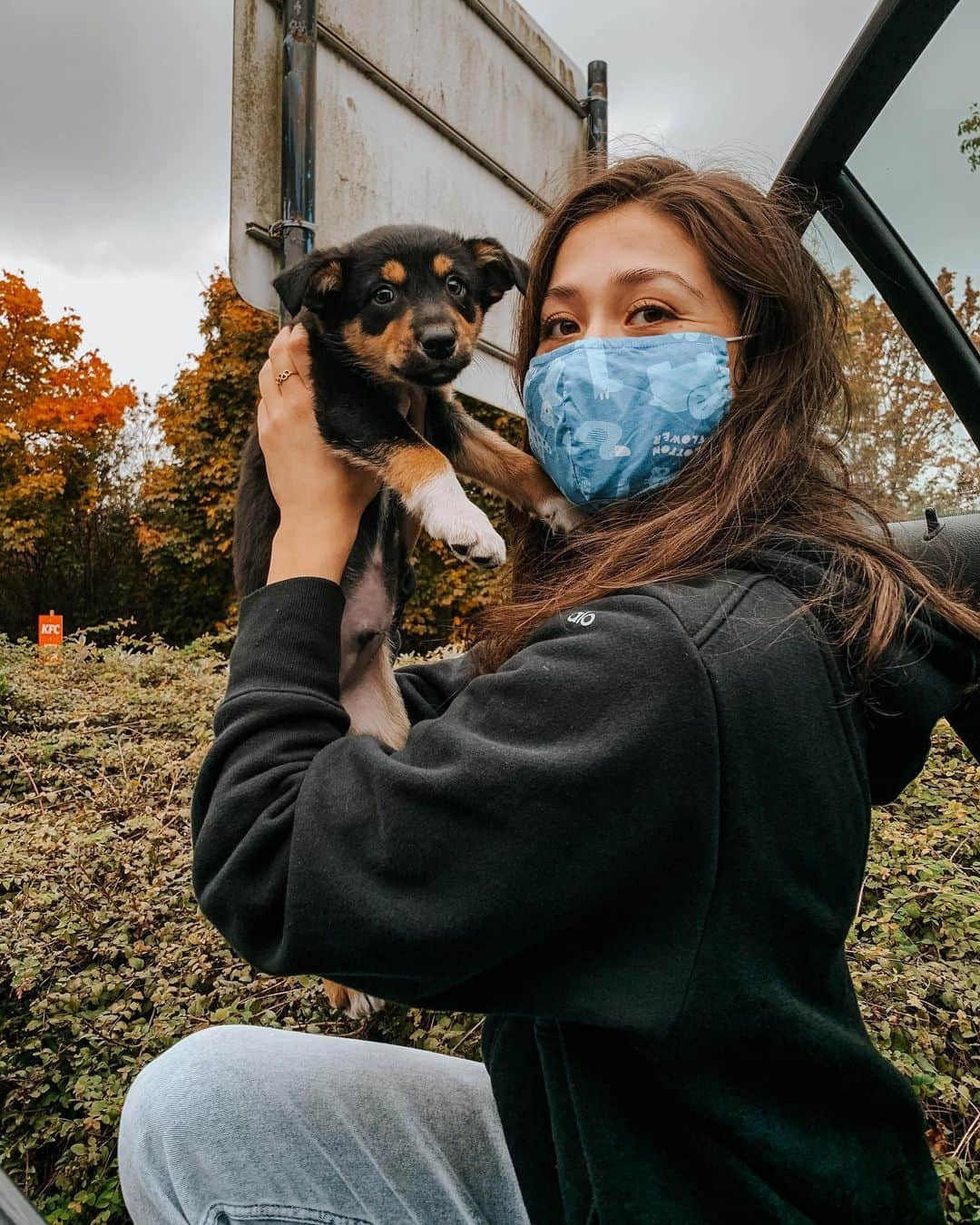 リン・ハッチソンさんのインスタグラム写真 - (リン・ハッチソンInstagram)「Welcome to our world Hachi Hutchison 🥰🐕🥺  ハッチソンハチです、よろしくおねがいしま〜す❣️」10月21日 5時32分 - lynnekarinahutch