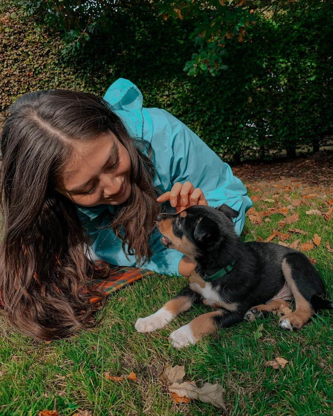 リン・ハッチソンさんのインスタグラム写真 - (リン・ハッチソンInstagram)「Welcome to our world Hachi Hutchison 🥰🐕🥺  ハッチソンハチです、よろしくおねがいしま〜す❣️」10月21日 5時32分 - lynnekarinahutch