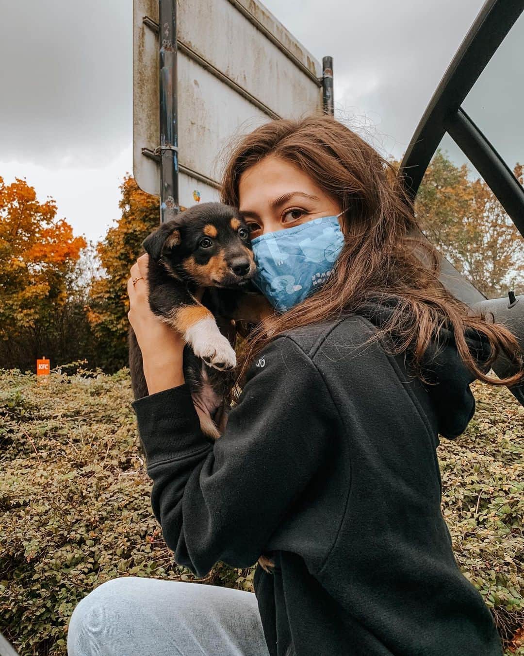 リン・ハッチソンのインスタグラム：「Welcome to our world Hachi Hutchison 🥰🐕🥺  ハッチソンハチです、よろしくおねがいしま〜す❣️」