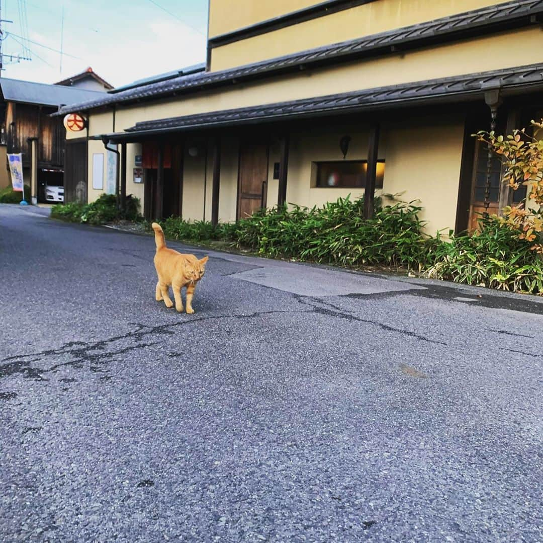 齊藤美絵のインスタグラム