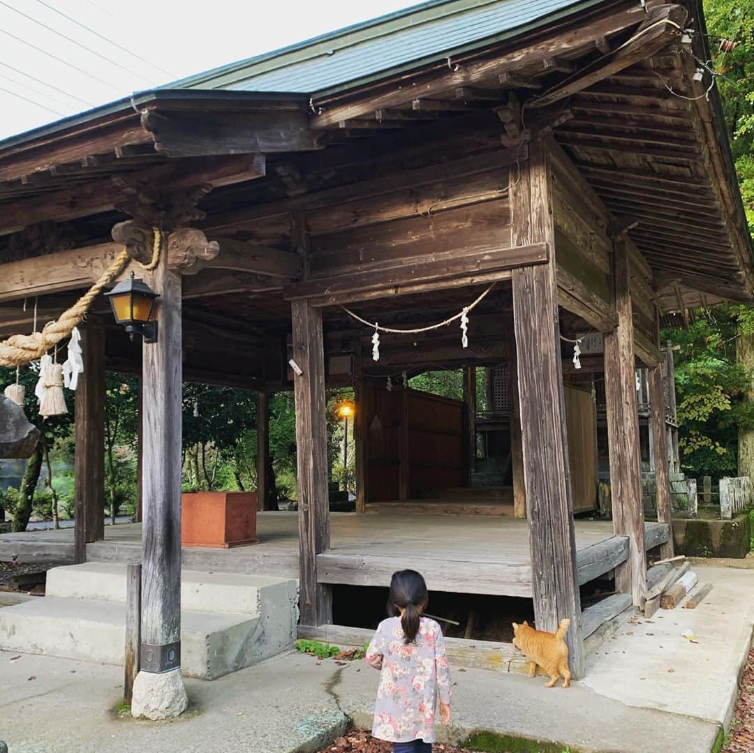 齊藤美絵のインスタグラム