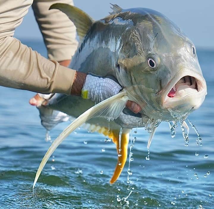 Costa Sunglassesのインスタグラム：「Jack lift. 📷: @graham_tayloe #SeeWhatsOutThere #BornOnTheWater」
