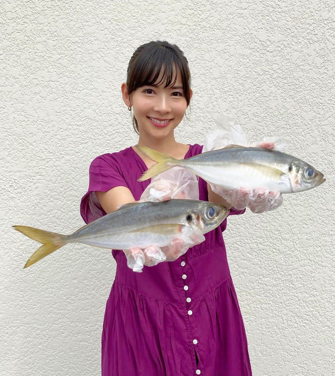 阪本智子さんのインスタグラム写真 - (阪本智子Instagram)「🐟♡ マゴチと一緒に届いた#アジ 💙 新鮮な魚ってなんて美味しいんだろう😭✨✨ ・ あのね、ようやくね、 次の釣りの予定が決まりました‪🎣‬💙 今からワクワクが止まらないっ😍‼️💕 ＊ #fishing #fishinggirl #boymama #釣り #釣りママ #男の子ママ #魚料理 #魚料理レシピ #阪本智子」10月21日 7時17分 - tomoko_sakamoto423