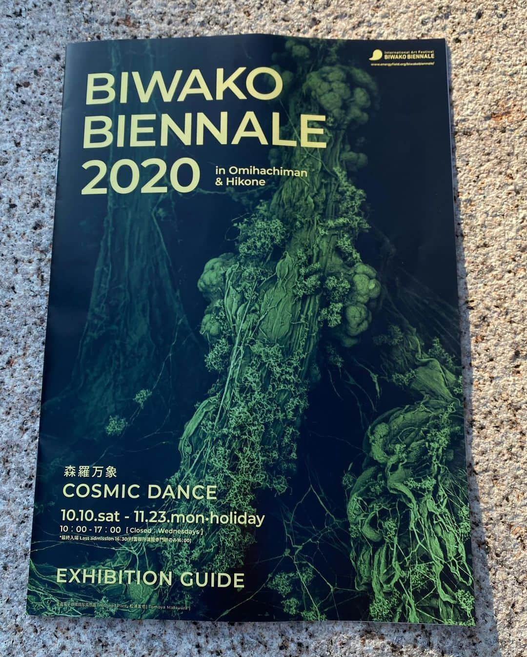 ののさんのインスタグラム写真 - (ののInstagram)「. 先日は2年に1度の国際芸術祭 BIWAKO BIENNALE 2020へ 近江八幡の古民家に展示されていて、古民家の雰囲気ごと楽しめるから好きなの✨ 2016.1018と観てる芸術祭👏 (2年に1度なので)(2001年から始まったらしい) 今年から彦根エリアが増えたそうなので、それは後日観に行こうと思ってる✨ . 写真撮影可、SNS投稿可 作品には触れられません マスク着用 10/10〜11/23 . #琵琶湖ビエンナーレ2020 #BIWAKOビエンナーレ2020  #近江八幡エリア #琵琶湖ビエンナーレ#BIWAKOビエンナーレ#美術館#芸術の秋#現代アート#近代美術#芸術#美術#アート#美術館巡り#滋賀県#滋賀#近江八幡#ポートレート#作品#被写体#秋#東京カメラ部#作品撮り#ワンピース#マスク#fineart#art#portrait#tokyocameraclub#japan #modernart」10月21日 7時28分 - nonoko0309