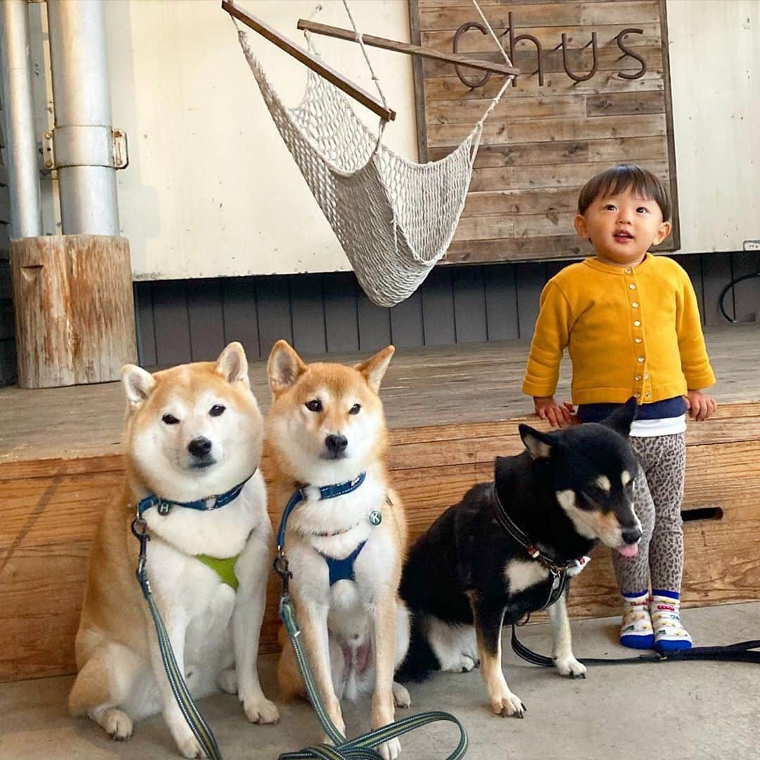 vo_coのグルメインスタ