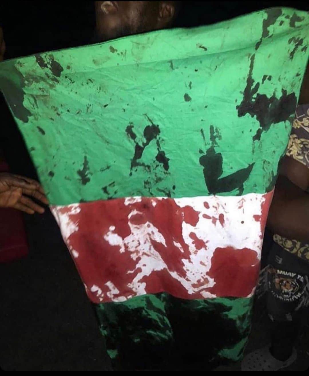 リアーナのインスタグラム：「#ENDSARS 🇳🇬」