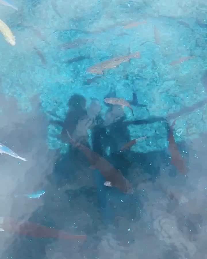 RUBYのインスタグラム：「忍野八海  何回来ても感動するんだよ🥺  ただただ。キレイ🐠  お散歩にもオススメ💡  #忍野八海 #河口湖 #絶景」