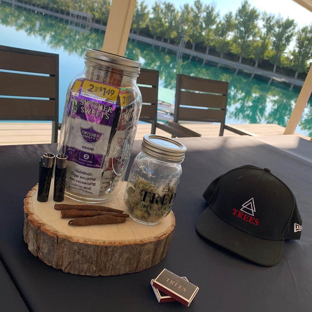 ゲームのインスタグラム：「| V I B E S  @treesbygamecalifornia 🗣💨」