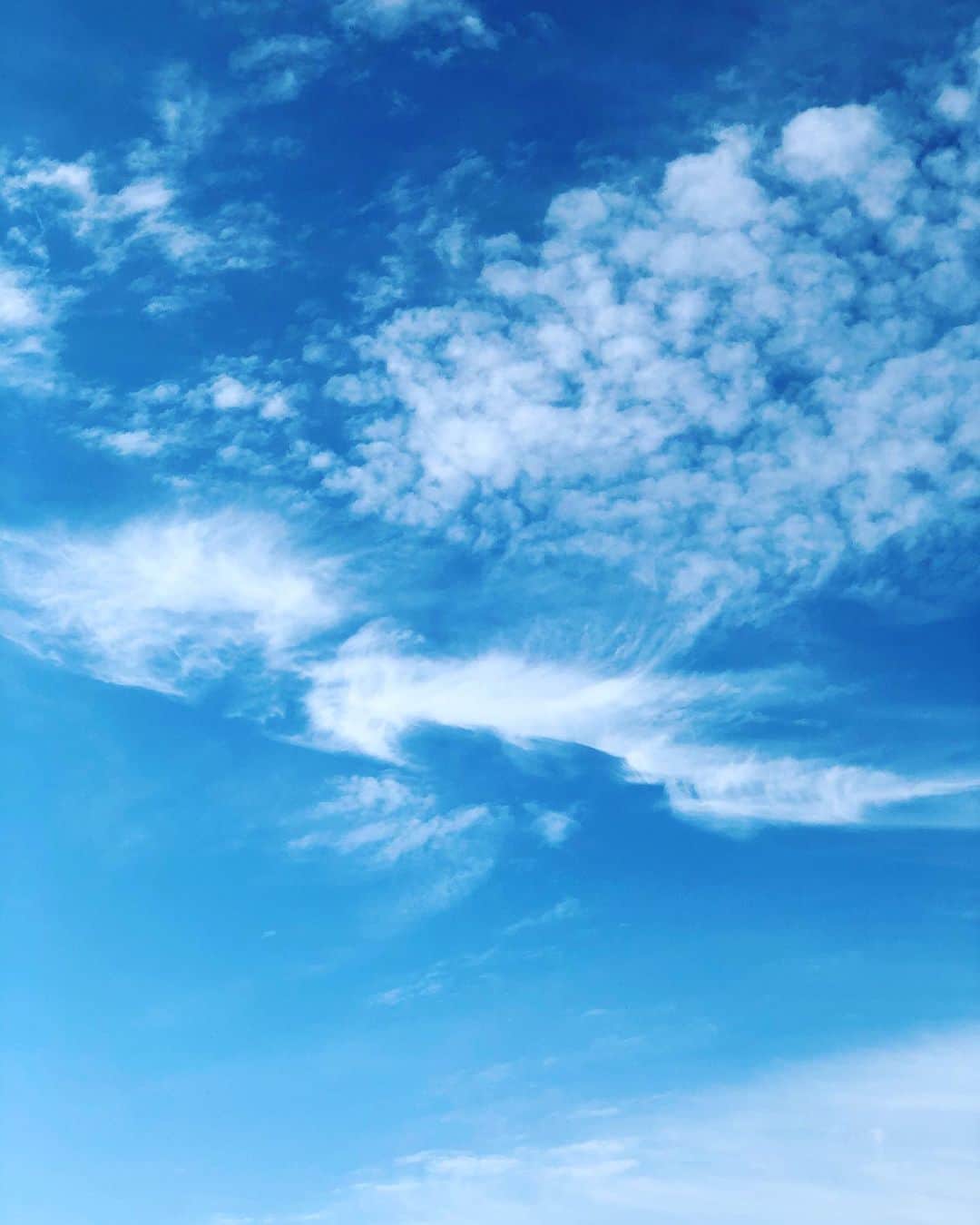 アキ（荒木良明）さんのインスタグラム写真 - (アキ（荒木良明）Instagram)「さわやかな秋晴れ  #秋晴れ」10月21日 8時56分 - mizutamareppuaki