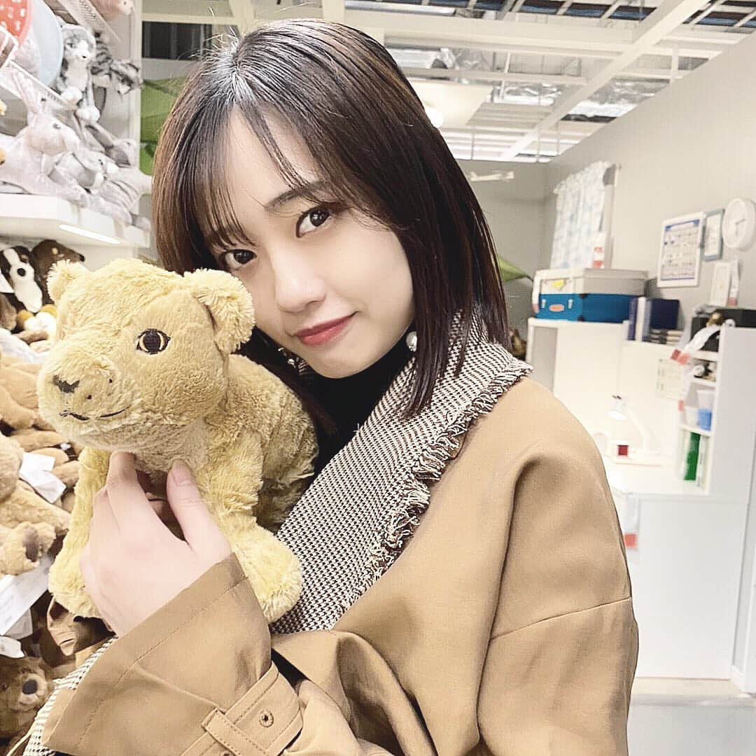 ASUKA（金子明日香）さんのインスタグラム写真 - (ASUKA（金子明日香）Instagram)「. . ぬいぐるみを愛でようの会🐯 . . #ikea #ぬいぐるみ #ikeaぬいぐるみ  #トラがなかったからチーター #首の長い恐竜見つけた #鼻の穴」10月21日 9時48分 - 03asuka_horikita13