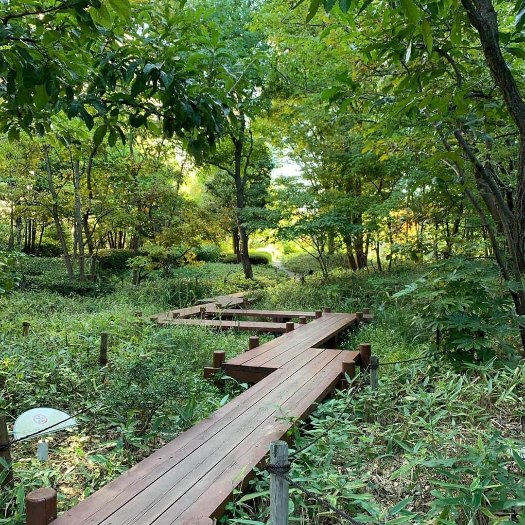 樹里咲穂さんのインスタグラム写真 - (樹里咲穂Instagram)「大阪梅田のスカイビルのすぐそばに里山があるの知ってた？？😊」10月21日 9時56分 - juripyon1028