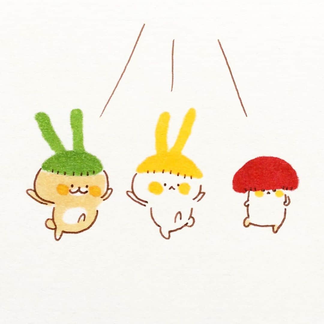 カモのインスタグラム