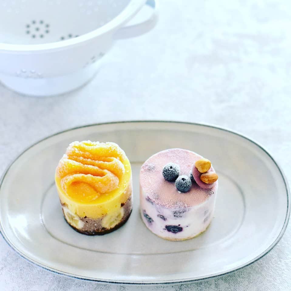 パレタスのインスタグラム：「・ パレタスのミニアイスケーキのご紹介です。 ・ 「ルビーフロマージュ」は.クリームチーズジェラートとブルーベリーの組み合わせ。 ルビーチョコレートでコーティングした淡いピンクの可愛いケーキ。 ・ 「ショコラトロピコ」は.マンゴーとチョコレートのジェラートを2層にしてバナナを貼り付けた甘酸っぱいケーキです。 ・ どちらも#直径6㎝ ・  #パレタス #paletas  #ぱれたす #foodpic #dessert #food #yum #yummy #instafood #icecream #dessertporn #delish #delicious #tasty #icepop #frozenfruitbar #フローズンフルーツバー」
