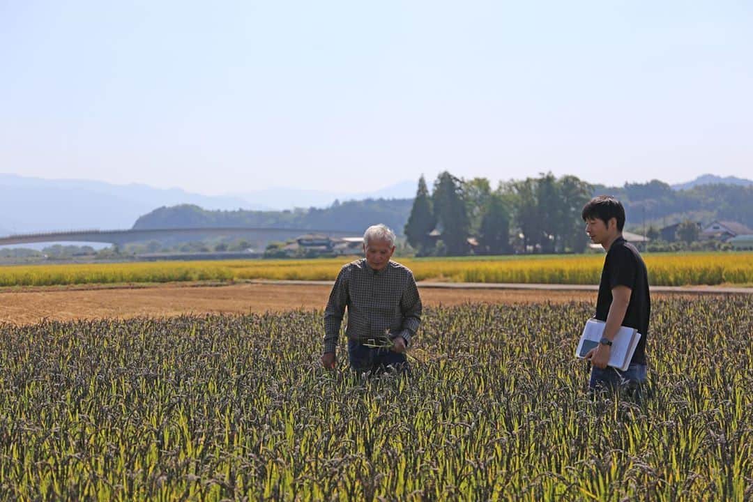 かわしま屋さんのインスタグラム写真 - (かわしま屋Instagram)「. 10/13（火）～10/15（木）九州の生産者の方にお会いしてました。 13日は、かわしま屋でもすぐに売り切れてしまう「還元米」を生産されている「おがた健康農園」さんへ。 . 熊本県の自然豊かな土地に田んぼが広がるとても美しい場所で、農薬も肥料も一斉使わない「自然農法」でお米を栽培されています。 その緒方さんの農園を実際に見せていただき、たくさんの貴重なお話しを伺うことができました。 . 詳しい内容は、かわしま屋の読みものページで読んでいただけます。 https://kawashima-ya.jp/contents/?p=42819 . #自然農法 #自然栽培 #玄米」10月21日 11時46分 - kawashima_ya
