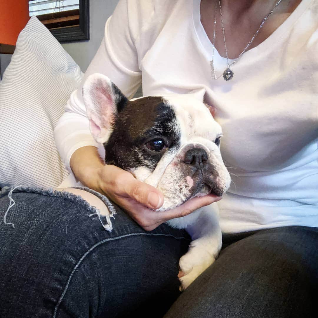 Manny The Frenchieさんのインスタグラム写真 - (Manny The FrenchieInstagram)「Mama's boy FOREVER! 💓」10月21日 11時40分 - manny_the_frenchie