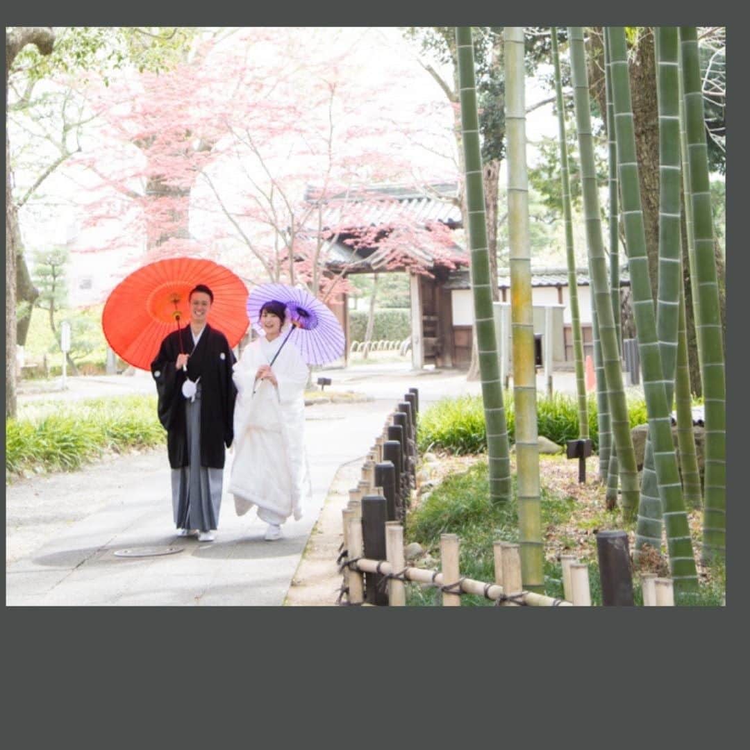 The Sally Garden（ザ サリィガーデン）のグルメインスタ