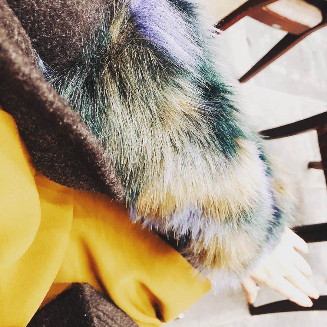 福田友理子さんのインスタグラム写真 - (福田友理子Instagram)「* * この時期よく着てるコーディガン（コート＋カーディガン）🧥 * 腕にモコモコとしたファーが付いていてあったかくてお気に入りです * 今年はテラコッタ色のコートが欲しいな☺️✨ * 私のパーソナルカラーがイエベオータムでテラコッタ合わせやすいので * 今日はこの後、スピーチ講師をさせていただいているミセスアースのパーソナルカラーレッスンも伺わせていただく予定で、とても楽しみです✨🎨 * * * #コーディガン #コーディガンコーデ  #パーソナルカラー #イエベオータム #ミセスアース #ミセスアースジャパン #スピーチトレーナー #話し方講師 #スピーチ #プレゼン #プレゼンテーション # スピーチトレーニング #企業研修  #企業研修講師」10月21日 12時30分 - yuriko.fu
