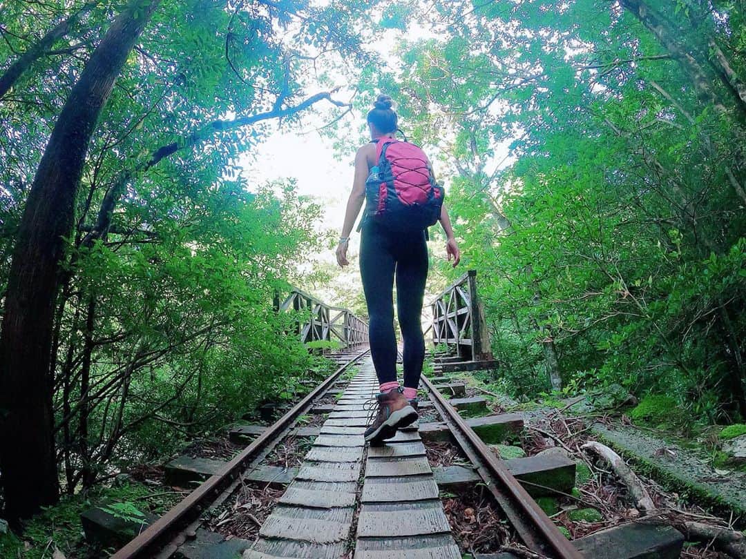 のインスタグラム：「線路は続くよどこまでも〜🚃  #山ガール   #死ぬまでに行きたい日本の絶景   #屋久島 #屋久島旅行 #縄文杉 #トレッキング #トレッキング女子 #往復10時間 #頑張った #世界遺産 #旅行 #旅行好きな人と繋がりたい #tabi_jyo #tabijyomap_yakushima #travelgram #traveler #yakushima #goproのある生活 #goprojp #goprotraveljapan #gopro女子 #jtbで旅したい #jalan_travel #japan」