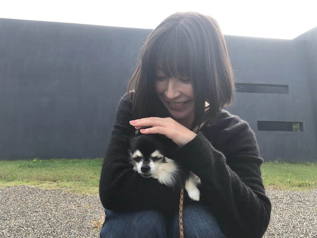 のインスタグラム：「こんにちは^ ^ 小春日和🌼 お散歩が気持ちが良い季節ですね🍃 湖までドライブしてきました🚗 あちこちで、少しづつ植物が色付いてきて綺麗です🍁🍂 今日も良い一日を(*´꒳`*) #チワワ#ハナちゃん #チワマル#ハルくん #いぬすたぐらむ #いぬばか部 #chihuahua #maltese #mixdog#doglover #dogstagram #市原市#高滝湖#市原湖畔美術館#千葉暮らし#犬のいる暮らし#ある日の休日」
