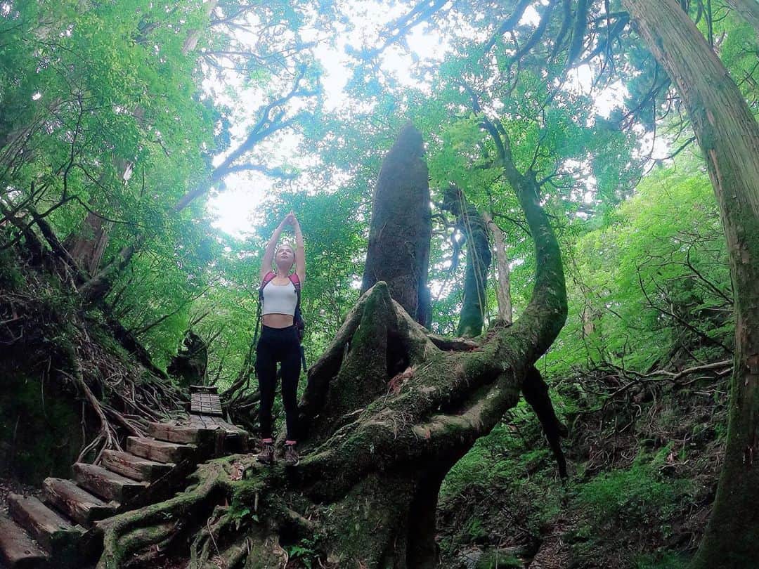 のインスタグラム：「何処でもヨガ🧘‍♀️🌿    #屋久島 #屋久島旅行 #縄文杉 #トレッキング #トレッキング女子 #往復10時間 #頑張った #世界遺産 #旅行 #旅行好きな人と繋がりたい #tabi_jyo #tabijyomap_yakushima #travelgram #traveler #yakushima #goproのある生活 #goprojp #goprotraveljapan #gopro女子 #jtbで旅したい #jalan_travel #japan #yoga #yogalife #ヨガ #ヨガポーズ #どこでもヨガをやってみる」