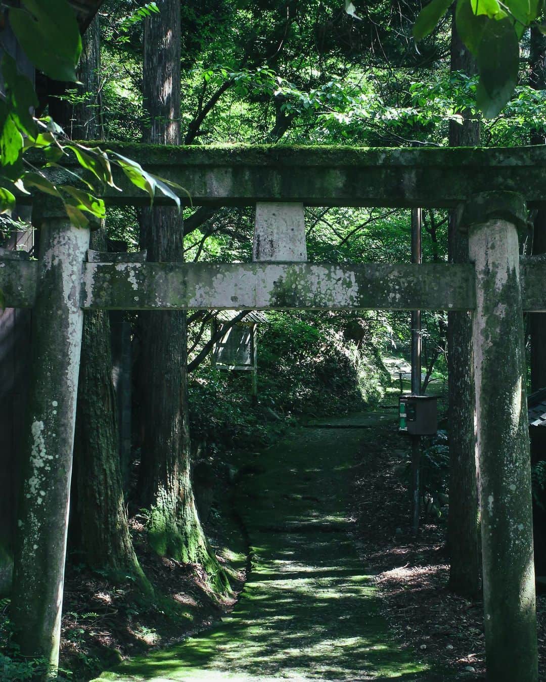 s_shoheyのインスタグラム：「. やっぱり日本らしい景色が好きだな .」