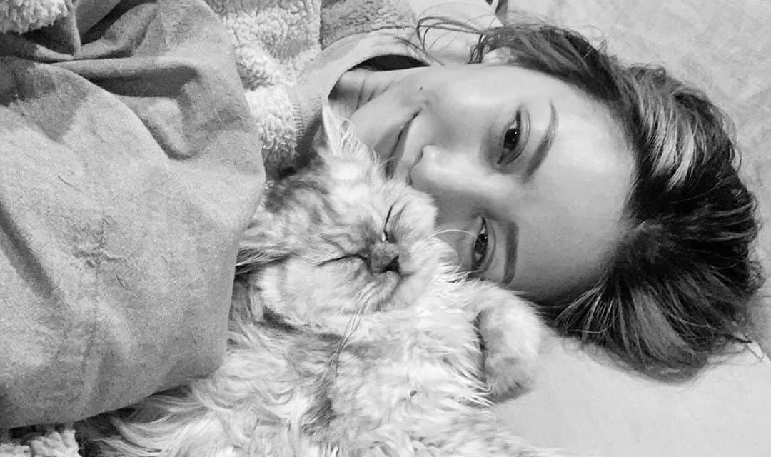 安部ニコルのインスタグラム：「I LOVE YOU 💗 #保護猫　#猫のいる暮らし #ねこら部」