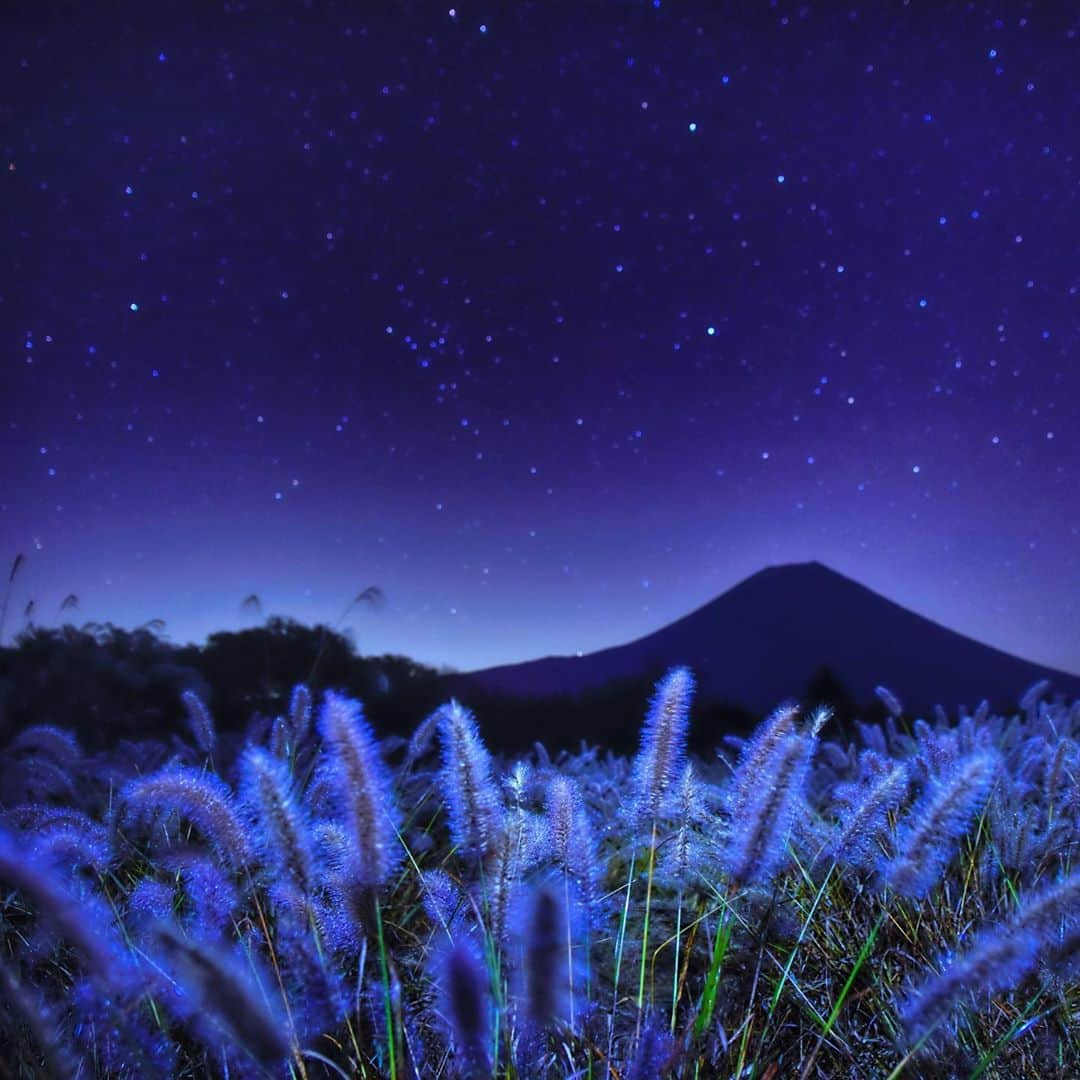 phantastic420さんのインスタグラム写真 - (phantastic420Instagram)「. 🤩🤩“Shizuoka” prefecture in Japan is a place where you can see the most “phantastic” Mt. Fuji🗻 in the world.🤩 #富士山 #mtfuji #japan #shizuoka #fujinomiya  #宮すた #miyasta @fujinomiyacity  #phantastic420photography #mostphantasticmtfuji #selamatpagi  #goodmorning  #おはようございます  #สวัสดี 🙏#สวัสดีครับ 🙏🇹🇭😇😇😇😇😇🗻😇😇😇😇 🇹🇭#Thailand now 🤣#サワディーカップ 🙏#サワディー 🙏」10月21日 22時10分 - phantastic420