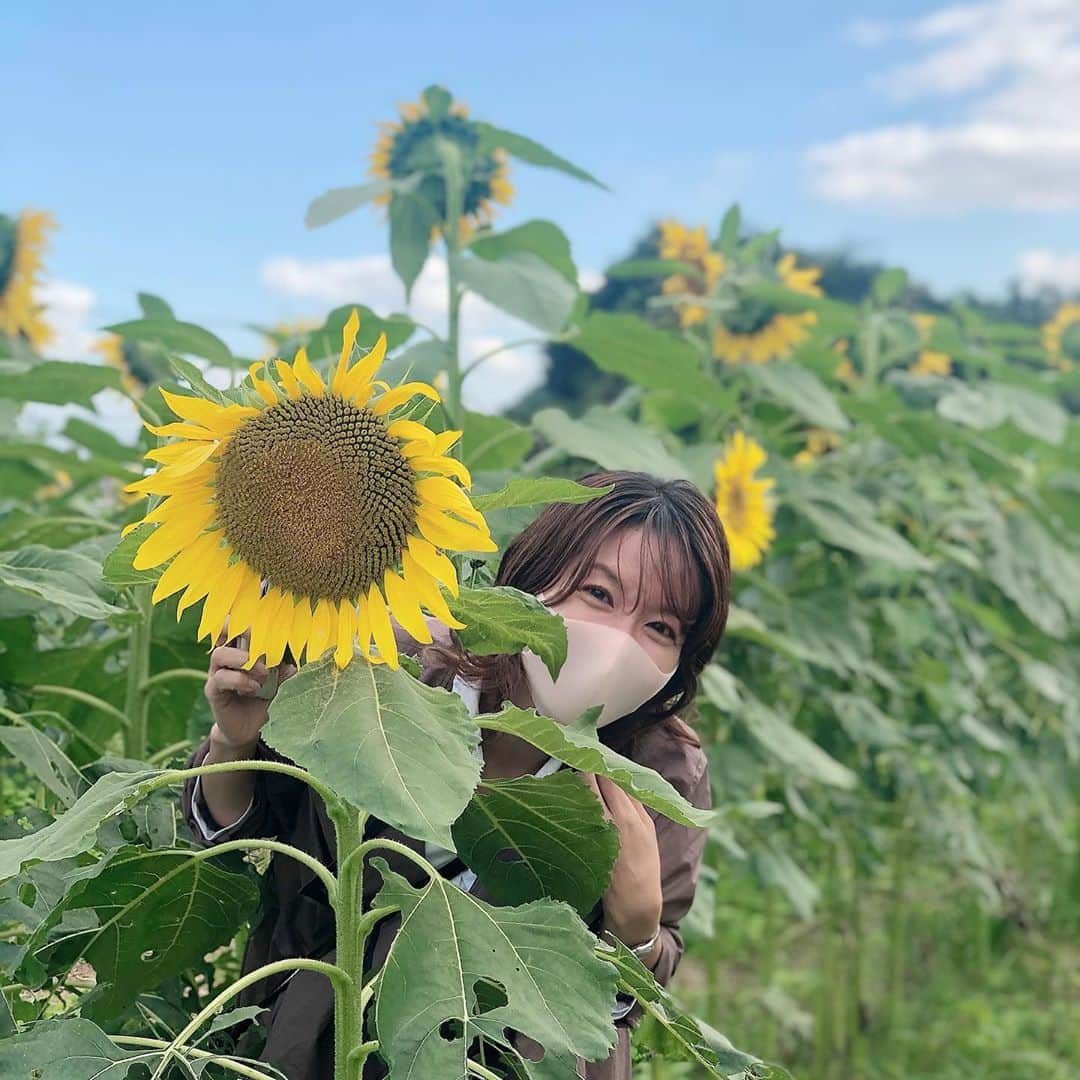 武藤乃子のインスタグラム：「🌻 ひまわり畑。  ポートレート機能📸の使い方を教えてもらったよ。笑 すごいね、ポートレート！！笑  #ひまわり畑  #ひまわり  #群馬県  #みどり市  #1番好きな花  #文明についていけない #ポートレート  #ポートレート撮影」