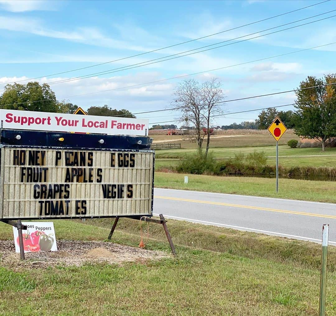 イヴァンカ・トランプさんのインスタグラム写真 - (イヴァンカ・トランプInstagram)「Support America’s Small Farms! 👩‍🌾👨‍🌾  Before campaigning for @realdonaldtrump today in Florida, I enjoyed a breakfast made sweeter by strawberry jam grown with love by Roger and Forest Ball of North Carolina. 🍓」10月21日 22時25分 - ivankatrump