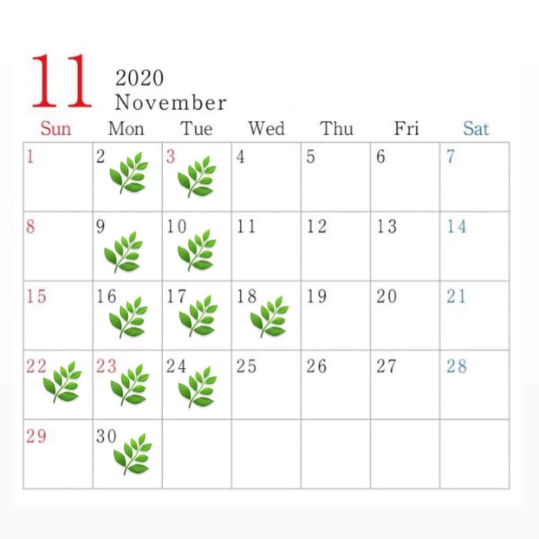 佐々木香奈さんのインスタグラム写真 - (佐々木香奈Instagram)「・  ▫︎November schedule  🌿off ﻿ ﻿ web予約スタートしました✂︎﻿ ﻿ ﻿」10月21日 22時27分 - sasakikana