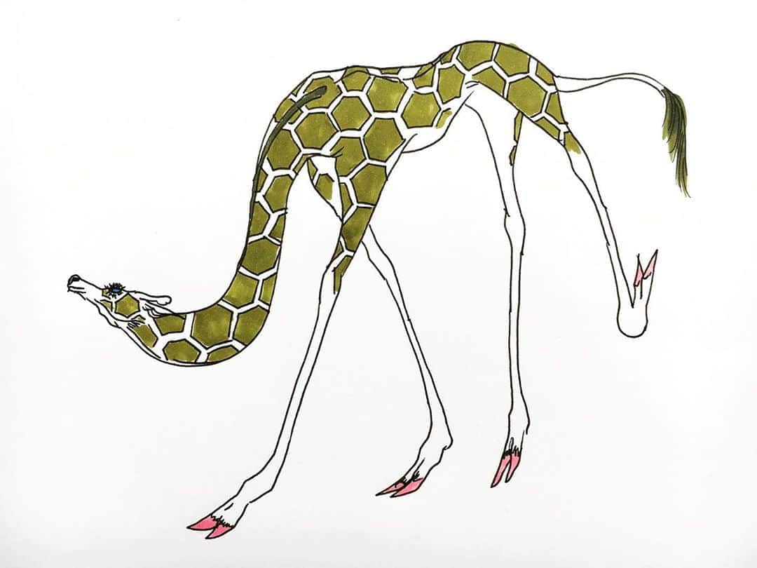 LiLi （矢野り々子）さんのインスタグラム写真 - (LiLi （矢野り々子）Instagram)「Giraffe  lili 13yrs old.  #giraffe  #麒麟 #矢野り々子」10月21日 22時41分 - liliko.y