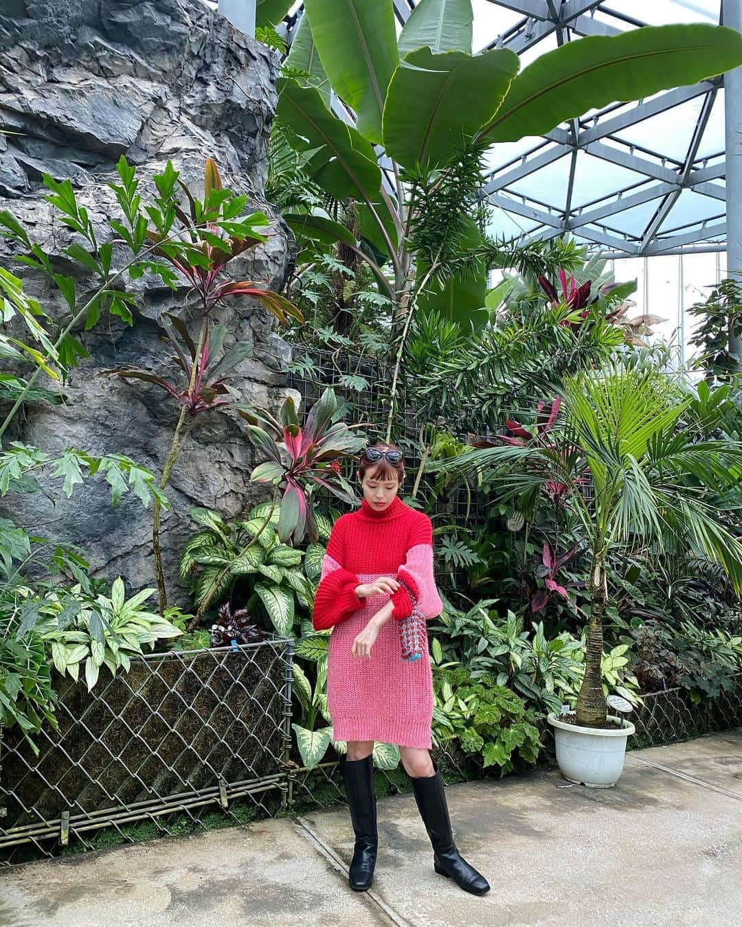 瀬戸あゆみさんのインスタグラム写真 - (瀬戸あゆみInstagram)「Live and let grow 🌴🌳🌵🌺  #ayumi_outfit  #dearsisterhood」10月21日 22時44分 - setoayumi