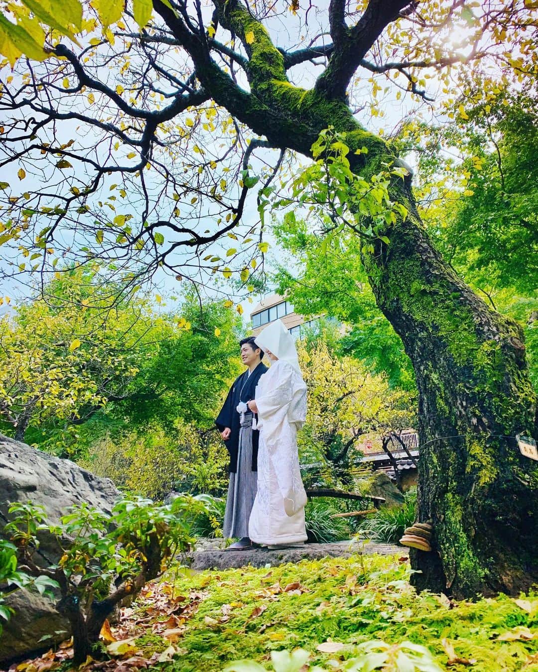 mana___chinのインスタグラム：「💚🤵🏼👰🏼💚  親族の結婚式で久しぶりのトキオ。親戚のおっさん枠という楽なポジションで楽しかった😄3日で2.5キロ太りました🙌🏻」