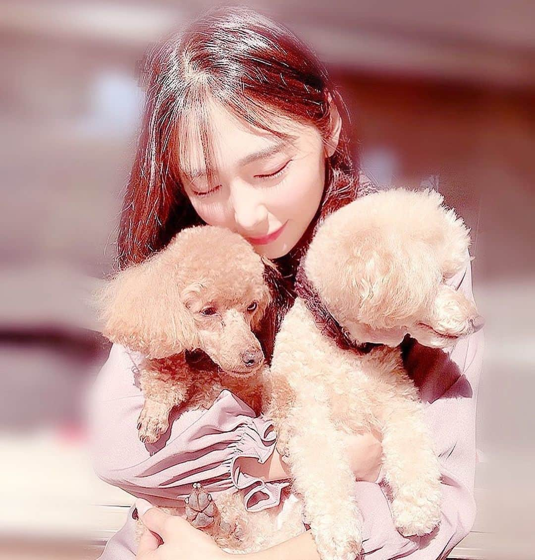 南沙羽さんのインスタグラム写真 - (南沙羽Instagram)「可愛すぎなの.....👼🏻❤︎  #愛犬との暮らし #愛犬との時間  #愛犬 #トイプードル #トイプー  #かわいい #可愛い  #フォロー #フォローミー  #follow #followｍe  #instagood #instalike #instapic  #cute #dog #dogstagram #love」10月21日 23時25分 - sawaminagram