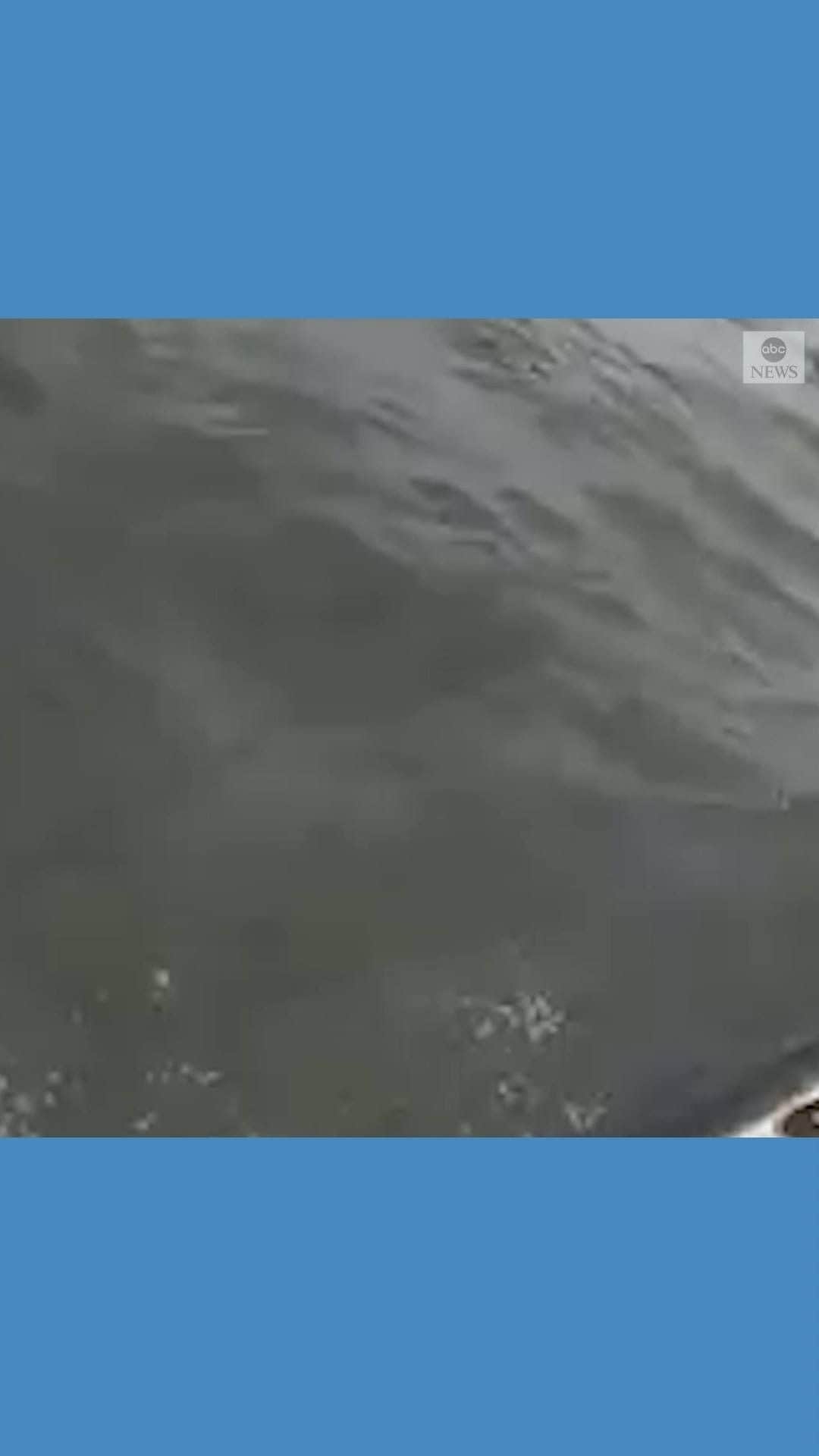 のインスタグラム：「A family was rescued by emergency crews near Davis Island in Florida on Monday afternoon after their 18-foot jet boat capsized due to hazardous weather conditions.  All individuals on board of the boat were wearing life jackets and no one sustained injuries. https://abcn.ws/2IRpwYu」