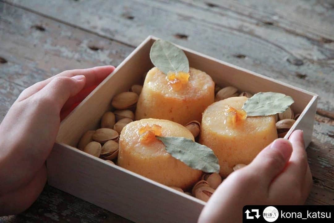 あやこのインスタグラム：「. この見た目が好きなんです 隙間にはピスタチオ◡̈♥︎ .  #repost @kona_katsu ・・・ ・ ＊concept 旬を口に含むことをこの上ない幸せと表すなら これは日々に散りばめられた小さな幸せの形かな。 庭のレモンが実るとジャムに加工するだけでなく 皮を干して挽いて粉にしておきます。 こうして１年中ふわぁっと心浮き立つ瞬間のために 忙しくても愛おしく思える季節の手仕事時間です。   ＊point 干して挽いた皮はほんの少しでも大きなアクセントに。   ＊使用粉末 #レモンの皮   ＊栄養point  レモンの皮には実の部分よりも抗酸化成分が豊富。 香り成分であるリモネンにはリラックス効果も研究されています。   発酵暮らし家・料理研究家 みつはしあやこ @mitsuhashi_ayako   #粉活 #粉活アート #粉活アンバサダー #抗酸化 #リラックス」