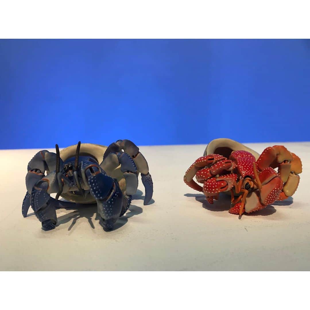 吉村民さんのインスタグラム写真 - (吉村民Instagram)「今日は　BSフジ 「ブレイク前夜」の作品撮影です。  陶芸家の岡村さんの作品は、、、近くで見ても触っても本物の蟹みたい🦀  食べてしまいそうです🤤  こちら陶器で出来ているというので、2度ビックリです！  ブレイク前夜は BSフジ で毎週火曜日 21時55分からです。  是非見てください☺︎  #bsfuji #bsフジ  #ブレイク前夜  #岡村悠紀 さん  #ナレーション  #art #japaneseart #japaneseartist」10月21日 15時21分 - yoshimuratami