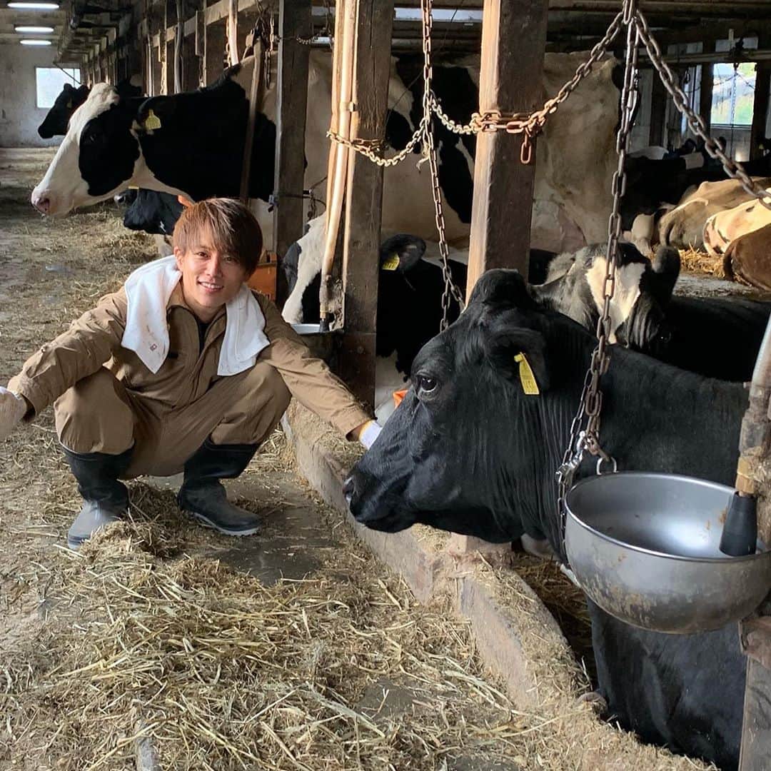 杉浦太陽さんのインスタグラム写真 - (杉浦太陽Instagram)「3日間、北海道の酪農家になります。  牛さん🐄と共に過ごします！  @sugiurataiyou_official  #北海道 #酪農家 #乳牛 #牛乳 #作業めっさ大変w #ロケがんばる！」10月21日 15時36分 - sugiurataiyou_official
