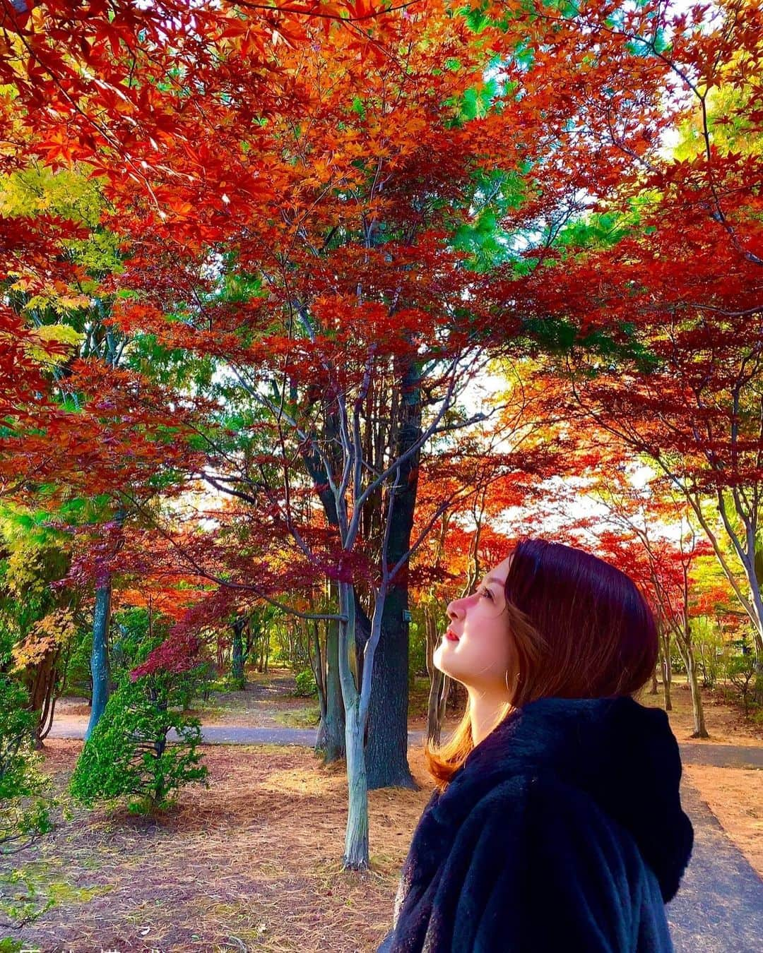 藤堂永蓮のインスタグラム：「あきのにおい  #北海道#すすきの#バルセロナ#キャバ嬢#ピアジェ#ピーアンドジェー#ニュークラブ#barcelona #新宿 #歌舞伎町 #六本木 #錦 #中洲 #北新地 #ミナミ #instagram#instagood #love #happy#fun#like4like #l4l #札幌」