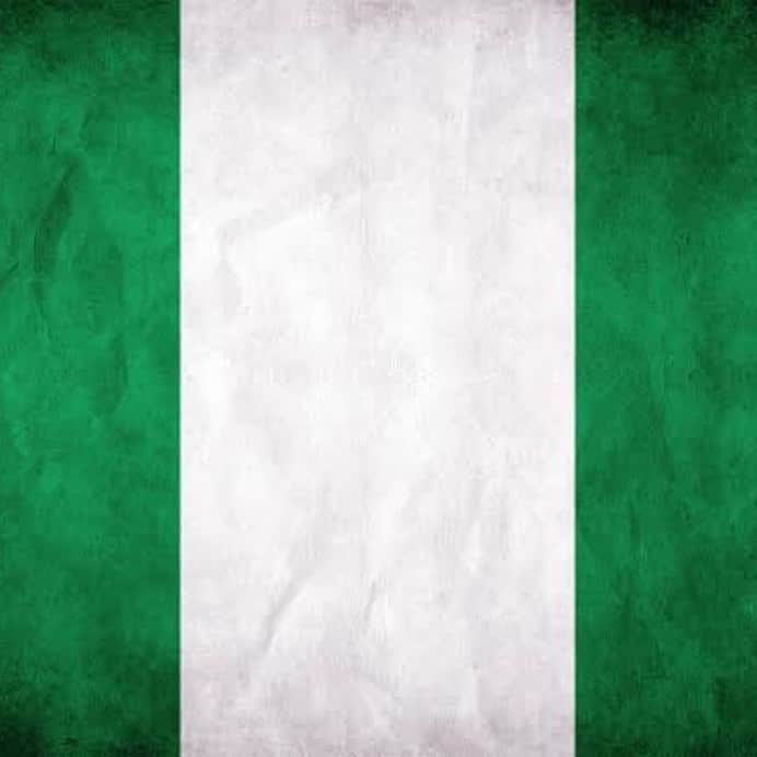 平山ララさんのインスタグラム写真 - (平山ララInstagram)「Watching the painful injustice taking place in Nigeria is heart breaking. My heart bleeds for the all innocent lives lost, destroyed and violated 🙏 Praying for all. Protect Nigeria🇳🇬 @cnn @bbcnews @unitednations @skynews  #endsars #endpolicebrutality #nigeria  Thank you @kyyahabdul for educating us 🙏」10月21日 16時37分 - lalla_hirayama