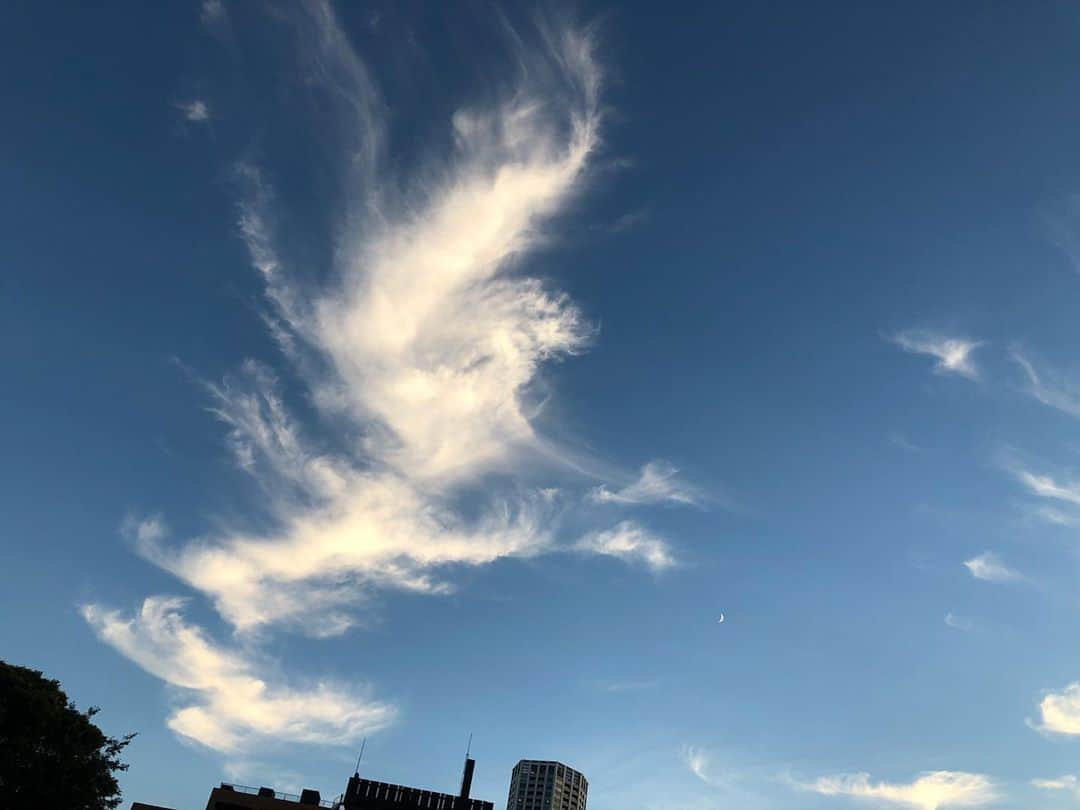 ホリエアツシさんのインスタグラム写真 - (ホリエアツシInstagram)「フェニックス🕊🌙 #cloudart #phoenix」10月21日 16時55分 - a.horie