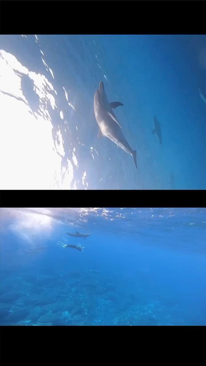 juntowaのインスタグラム：「撮った映像と撮ってる映像。 たまたま撮れてたので笑」
