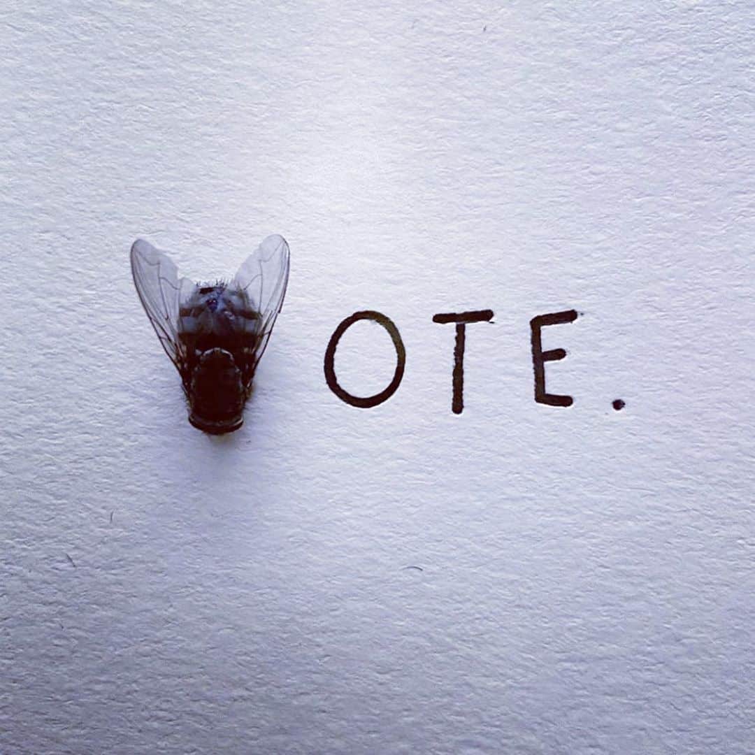 ザカリー・クイントのインスタグラム：「what he said... via @superwrongmagazine  @soflytaxidermy」