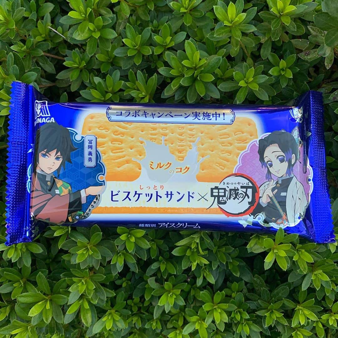 木部さんさんのインスタグラム写真 - (木部さんInstagram)「しのぶさん🦋﻿ 　﻿ ﻿ 　ビスケットサンド美味しかったぉ♪﻿ 　﻿ ﻿ ﻿ ﻿ #鬼滅の刃　#鬼滅 #ビスケットサンド #アイスクリーム #富岡義勇 #胡蝶しのぶ #kimetsunoyaiba #kimetsu #icecream #tomiokagiyuu #kochoushinobu」10月21日 17時56分 - kibe_dayo