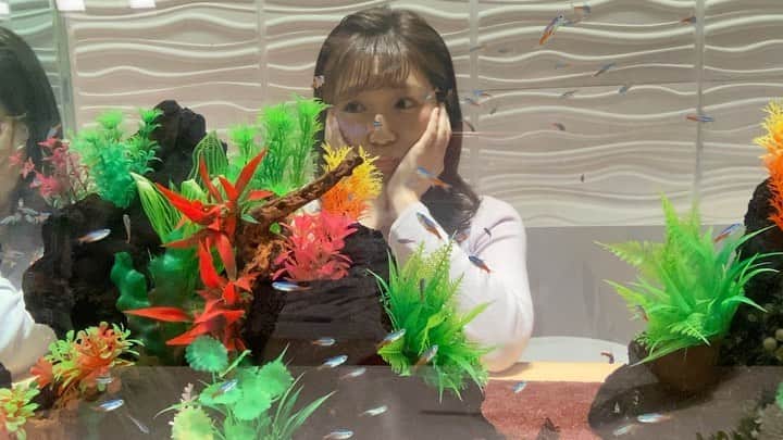 北海道放送「今日ドキッ!」のインスタグラム
