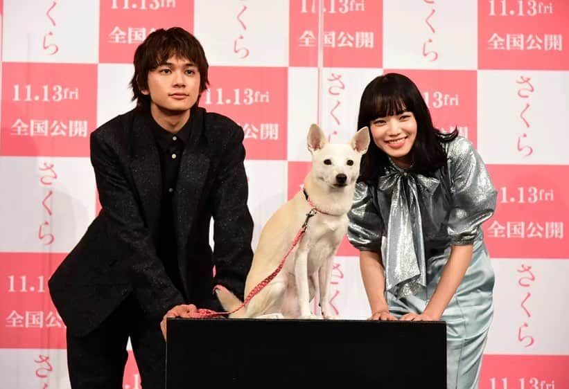 北村匠海さんのインスタグラム写真 - (北村匠海Instagram)「[#TakumiEvent / Photo] A talk event to commemorate the completion of the movie "Sakura" was held in Tokyo on October 20. Takumi Kitamura, Nana Komatsu, director Hitoshi Yazaki, and Chie (dog) appeared. — 映画『さくら』(11月13日公開)の完成記念トークイベントが20日に都内で行われ、北村匠海、小松菜奈、矢崎仁司監督、ちえ(犬)が登場した。  #さくら #北村匠海 #TakumiKitamura #DISH// #小松菜奈 #NanaKomatsu」10月21日 18時54分 - takumikitamura.id