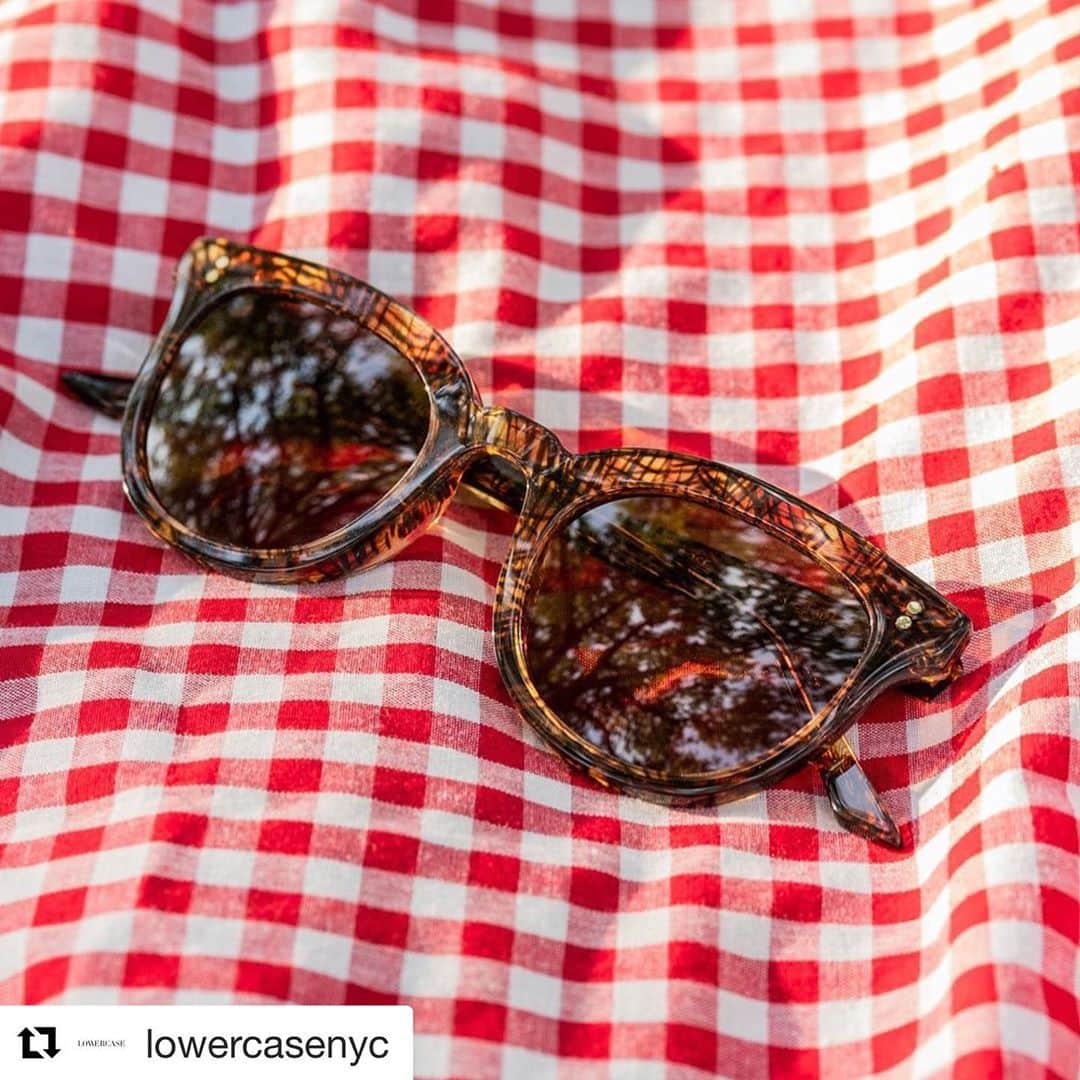blincvaseさんのインスタグラム写真 - (blincvaseInstagram)「#Repost @lowercasenyc with @get_repost ・・・ The Rose in Palm, fully ready for a long weekend!  📷: @wadeschaul」10月21日 18時59分 - blincvase