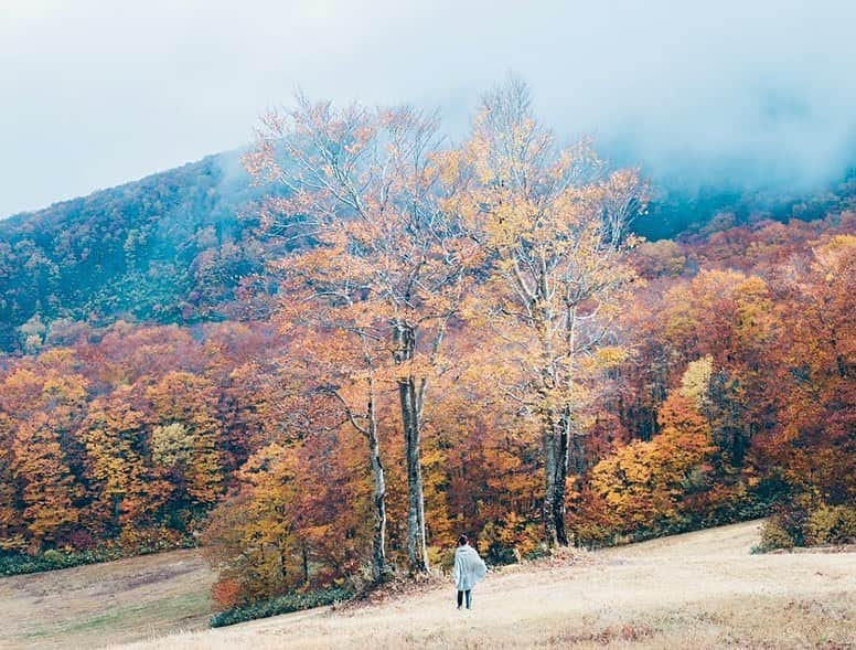 yukiさんのインスタグラム写真 - (yukiInstagram)「・ ・ ・ Beautiful autumn days ・ ・ ◉sty830 base shop◉ https://sty830.base.shop/ ・ ・ ・」10月21日 19時05分 - sty830